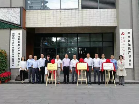 我所海南省知识产权协会法律服务工作站揭牌成立