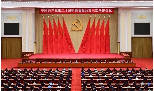 李君主任学习贯彻党的二十届三中全会精神心得分享